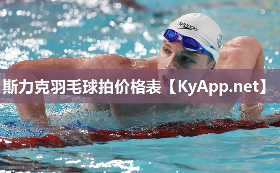 斯力克羽毛球拍价格表