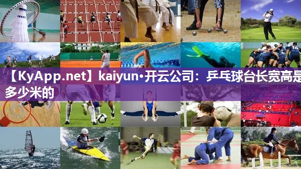 乒乓球台长宽高是多少米的