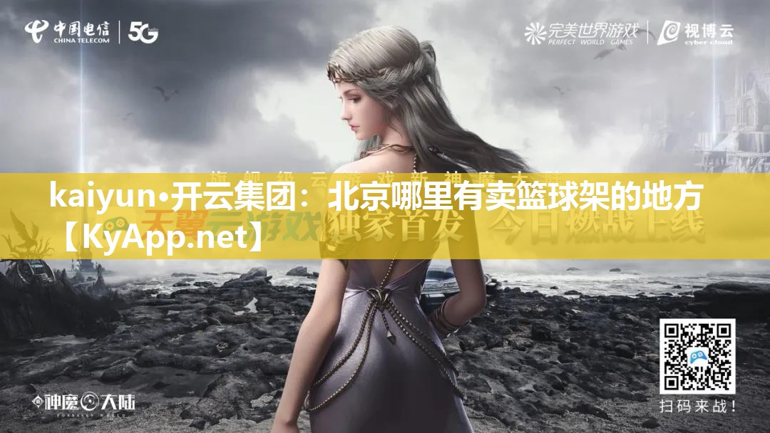 北京哪里有卖篮球架的地方