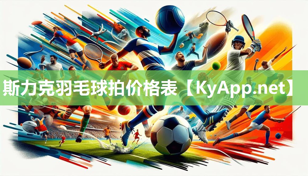 斯力克羽毛球拍价格表