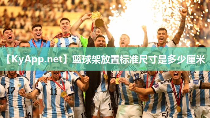 篮球架放置标准尺寸是多少厘米