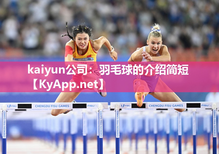羽毛球的介绍简短